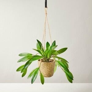 8" Faux Hoya Hanging Plant Rattan Basket – Hearth & Hand Magnolia, Target 2022